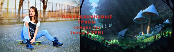 МДМА Приозерск
