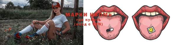 молекула духа Арсеньев