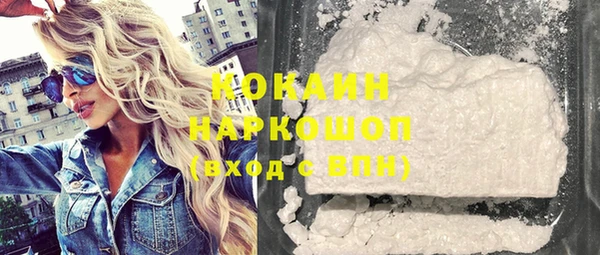молекула духа Арсеньев