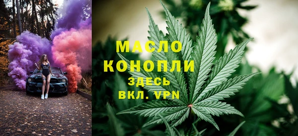молекула духа Арсеньев