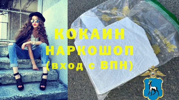 молекула духа Арсеньев