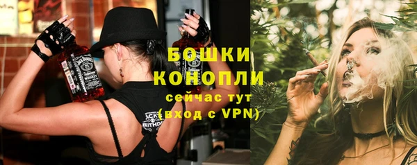 молекула духа Арсеньев