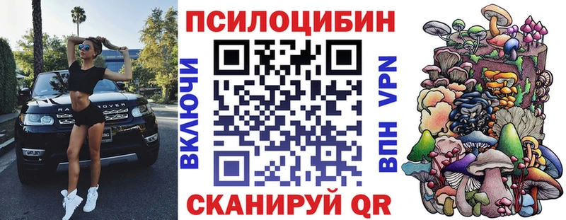 закладка  Исилькуль  Галлюциногенные грибы Magic Shrooms 